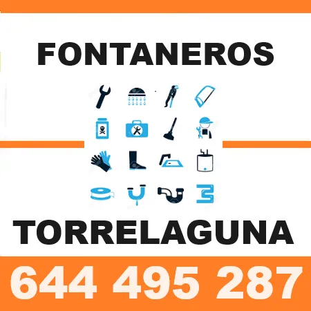 Fontaneros Torrelaguna